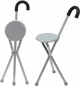 Canne Chaise Pliante
