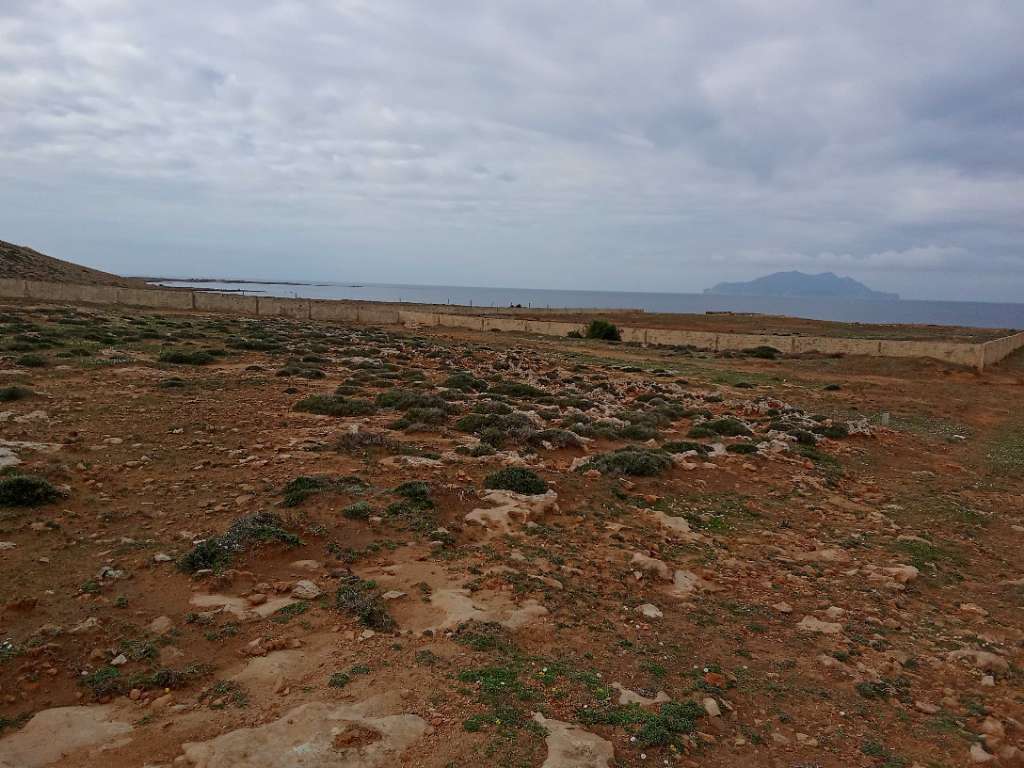 قطعة الأرض للبيع 500م² موقع أول على البحر غرمان الهوارية 