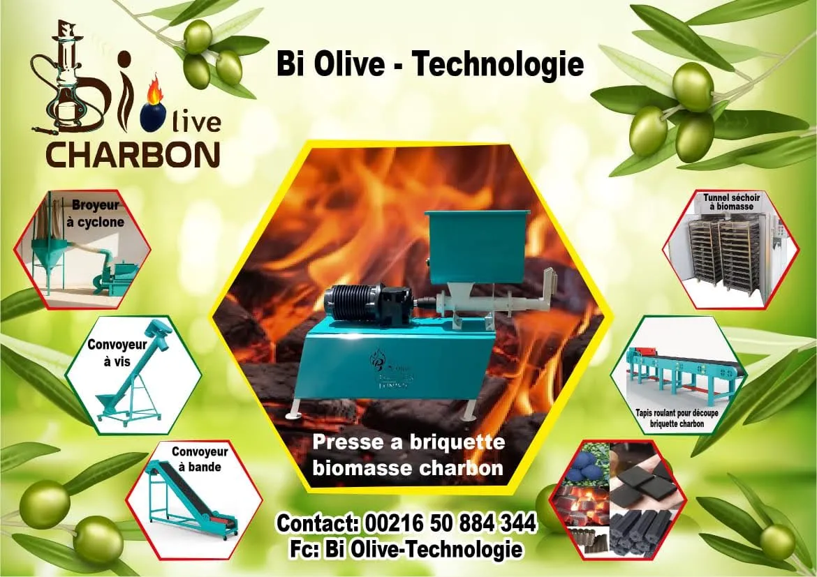 Nouveau projet  Biomasse et charbon 