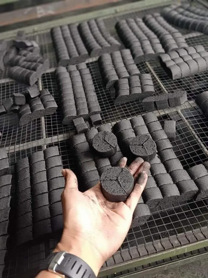 Nouveau projet  Biomasse et charbon 