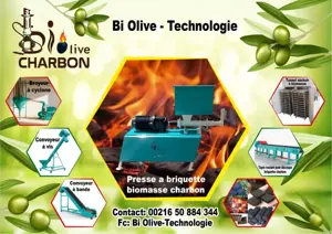 Nouveau projet  Biomasse et charbon 