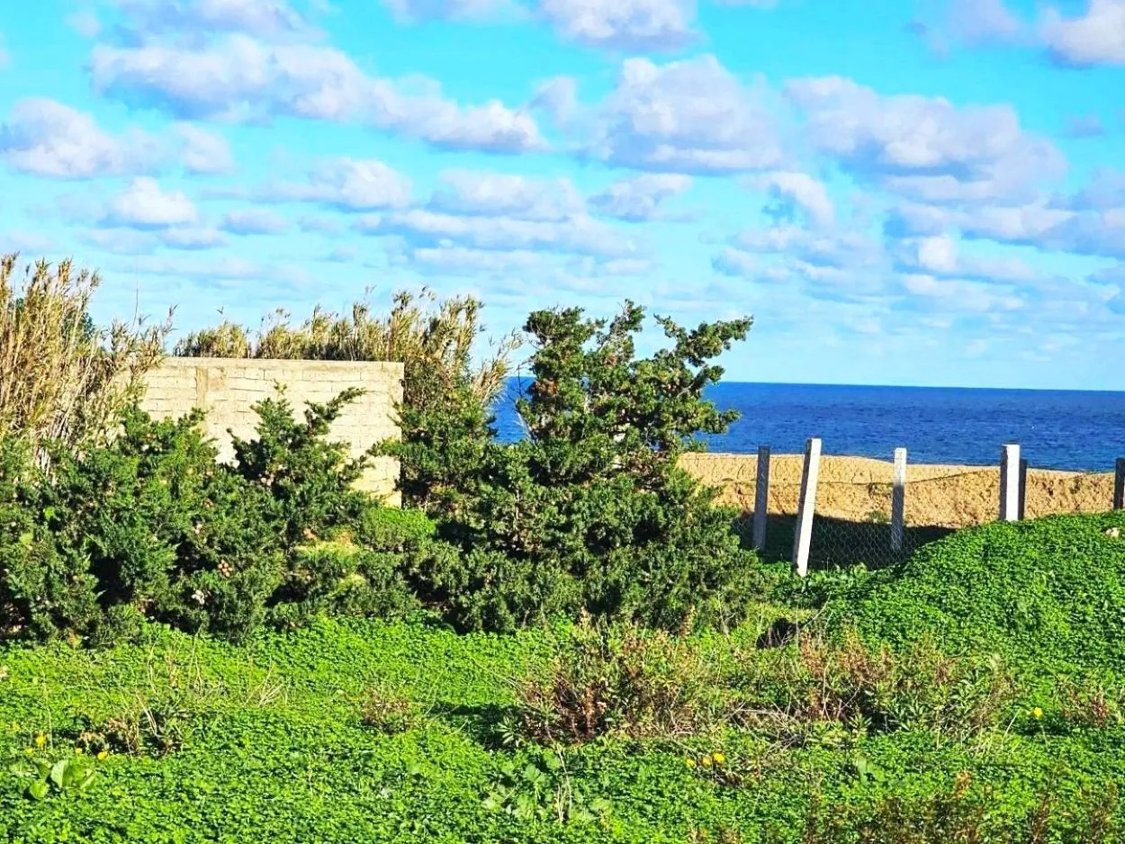 🏝 Terrain 1050 m2 rafraf plage ain mesrtir 🏖