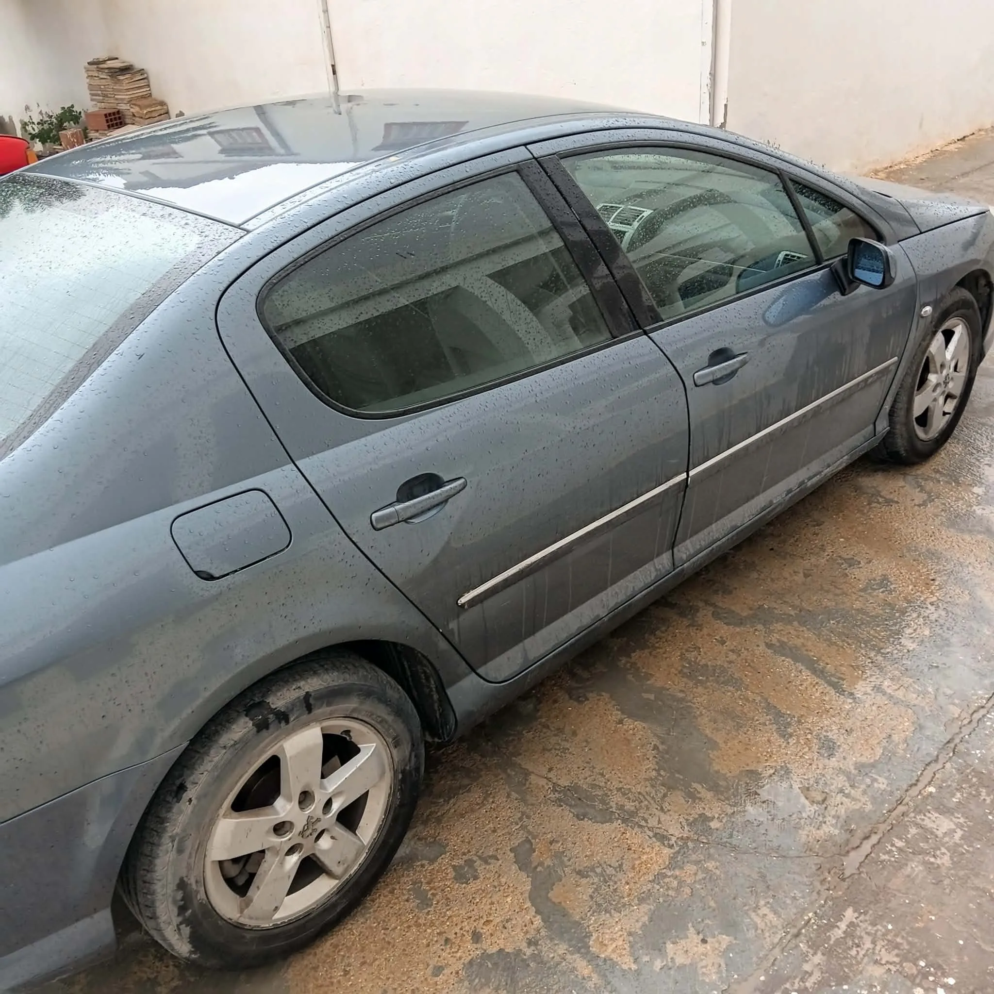 PEUGEOT 407 