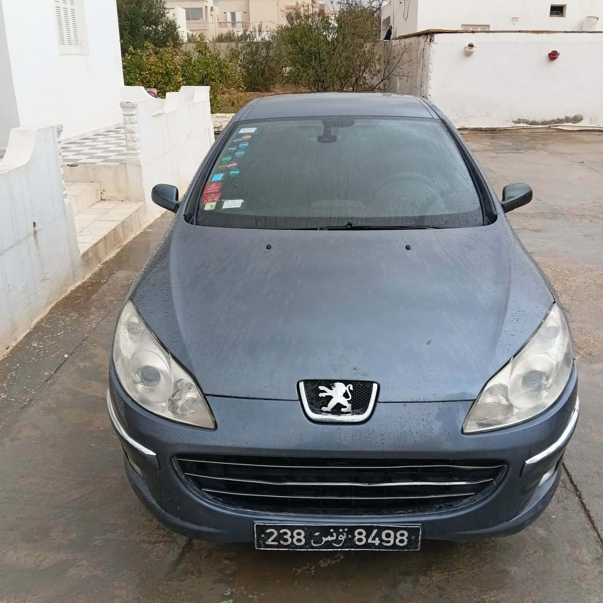 PEUGEOT 407 