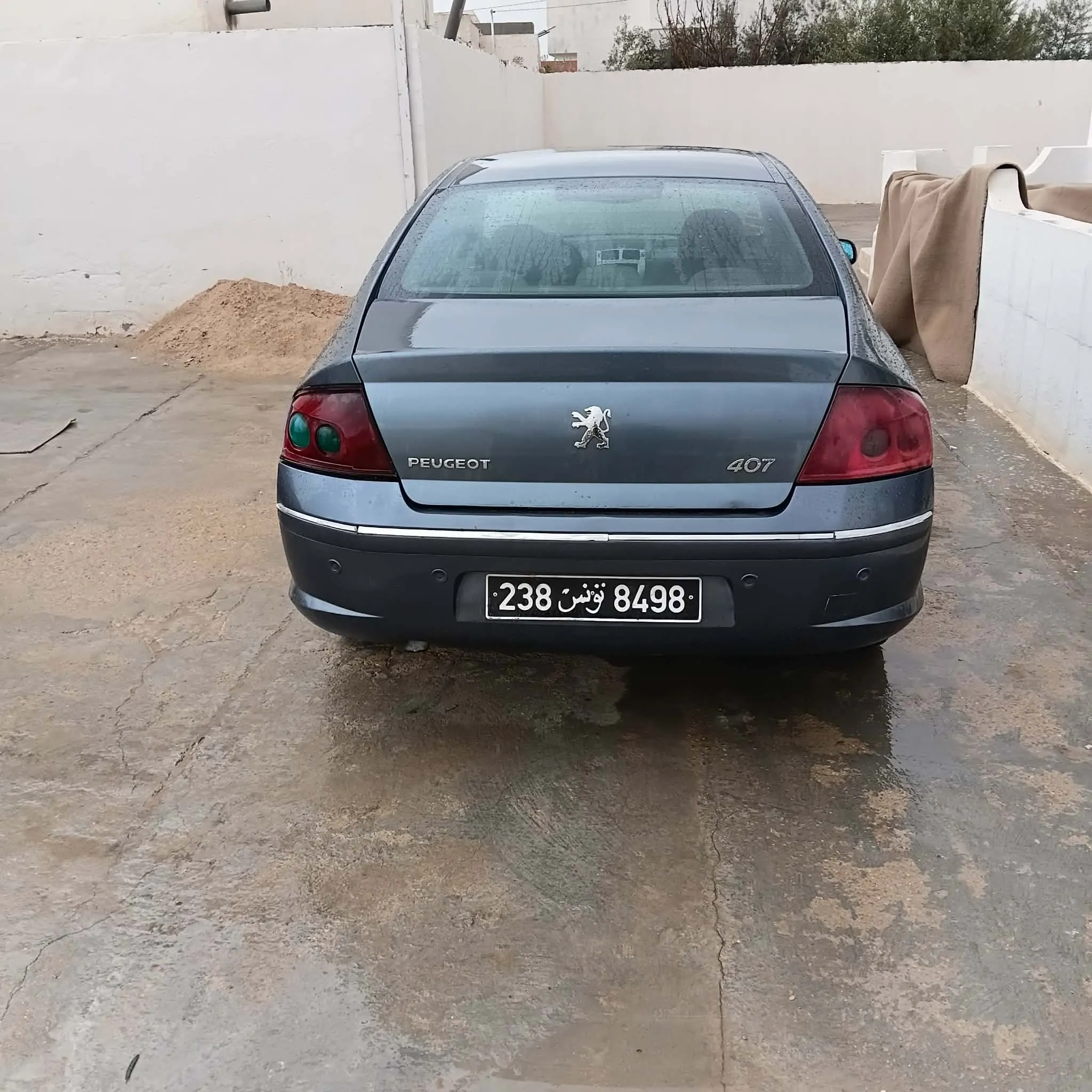 PEUGEOT 407 