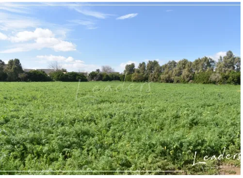 🏗️ FORSA À Saisir – Terrain Constructible à La Soukra – 500 m²