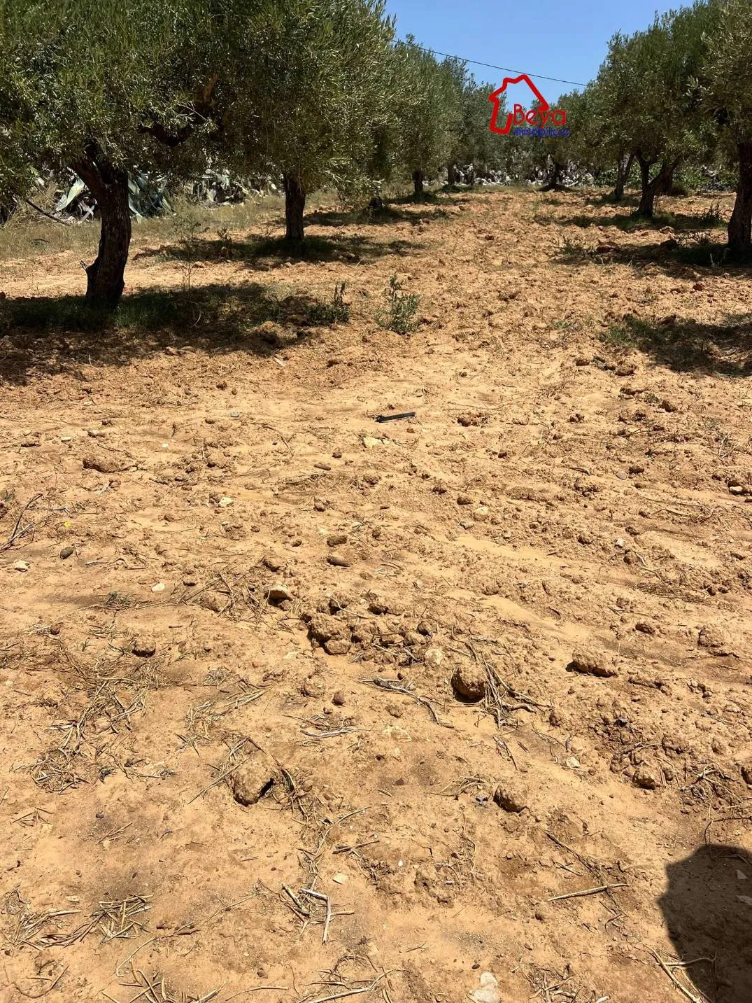 Terrain DINATA VTM066