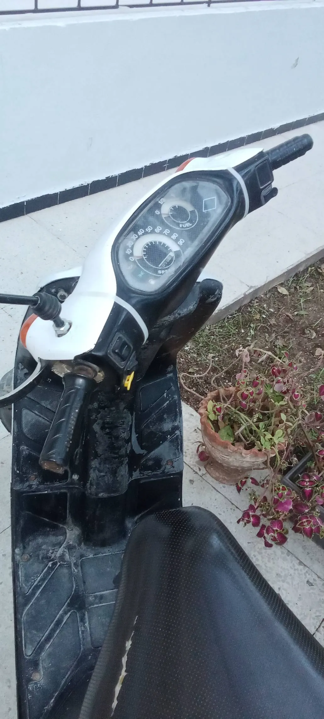 Piaggio typhoon 50cc 2T