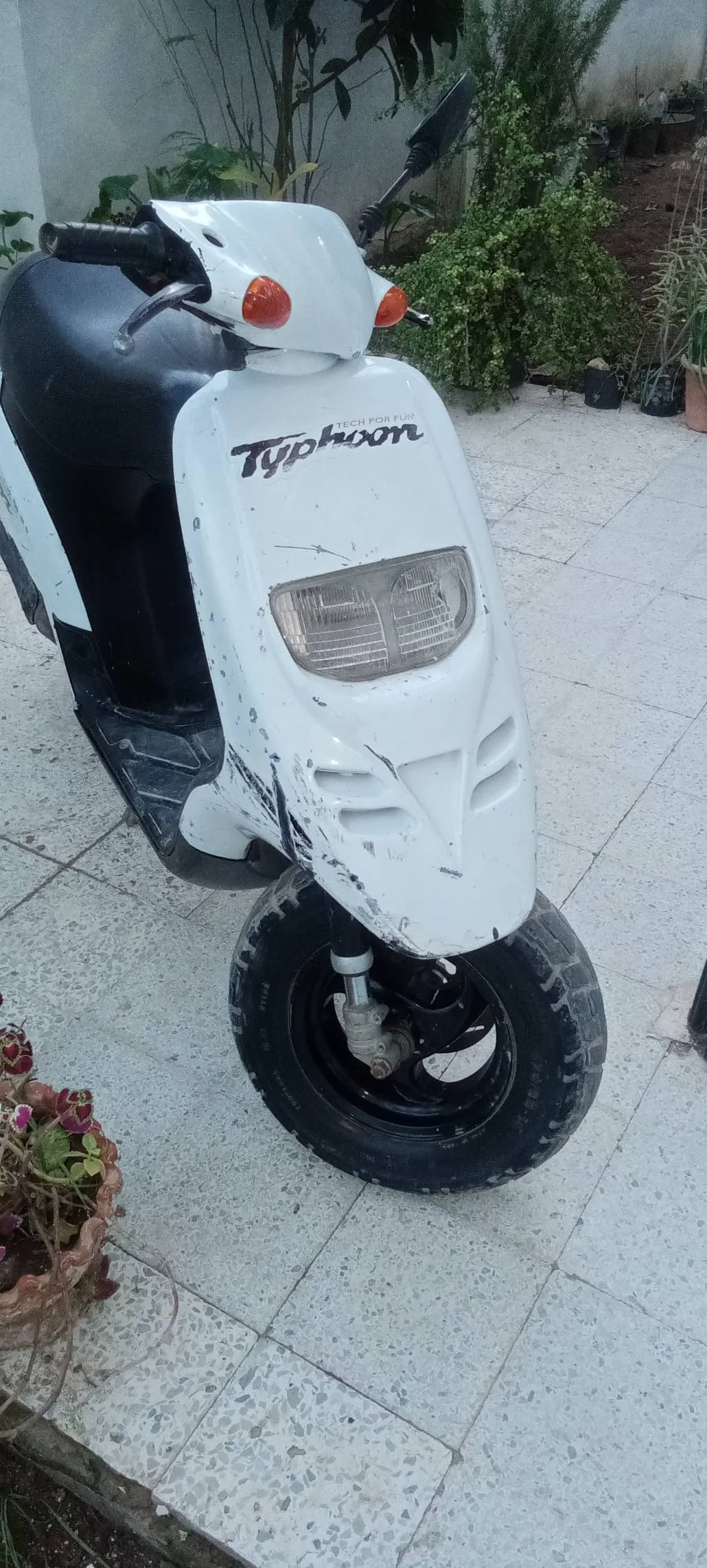 Piaggio typhoon 50cc 2T