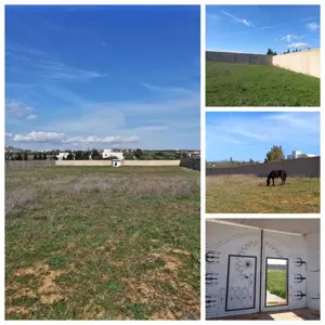 Forfait!Forsa! PRIX FORTEMENT NÉGOCIABLE TERRAIN ENTIÈREMENT CLÔTURÉ À HAMMAMET DE 8200M²