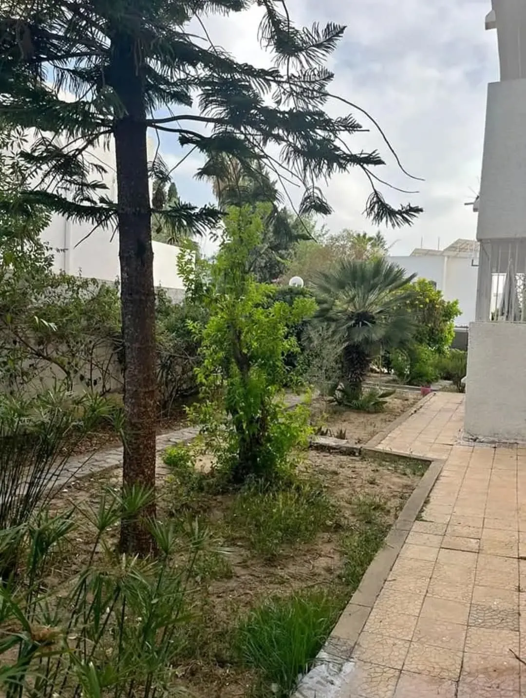 Vente S2 à El Menzah 9A
