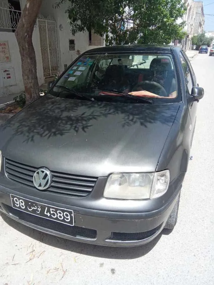 Polo4