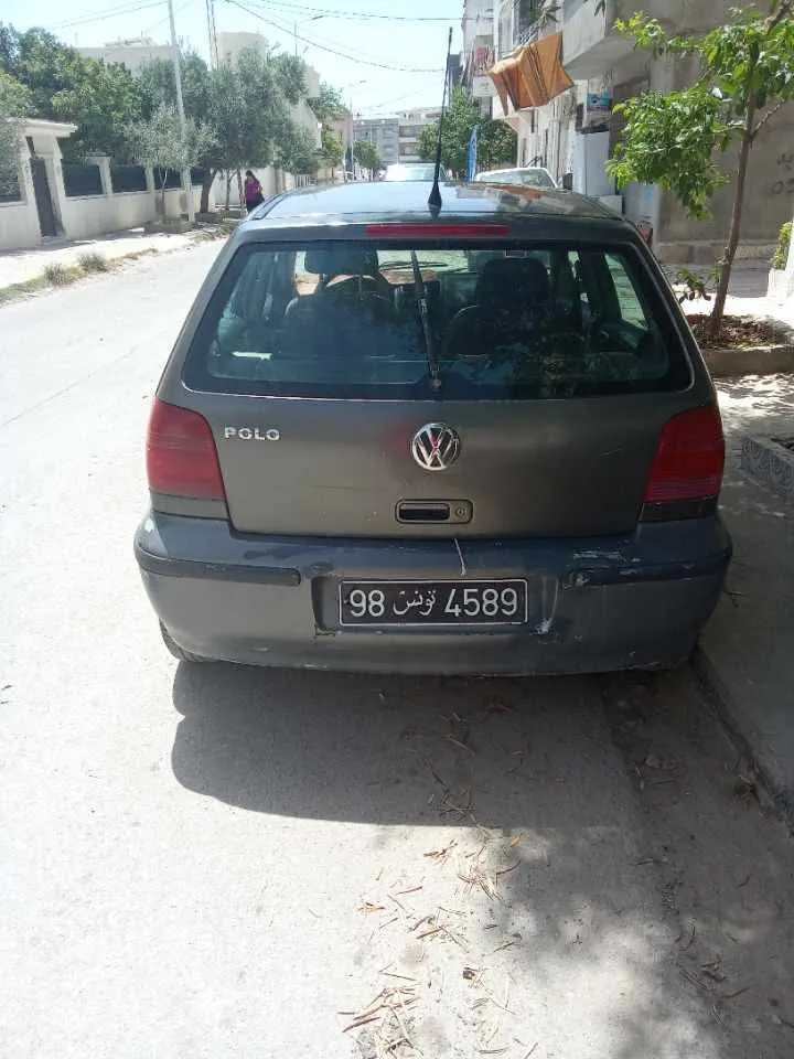 Polo4