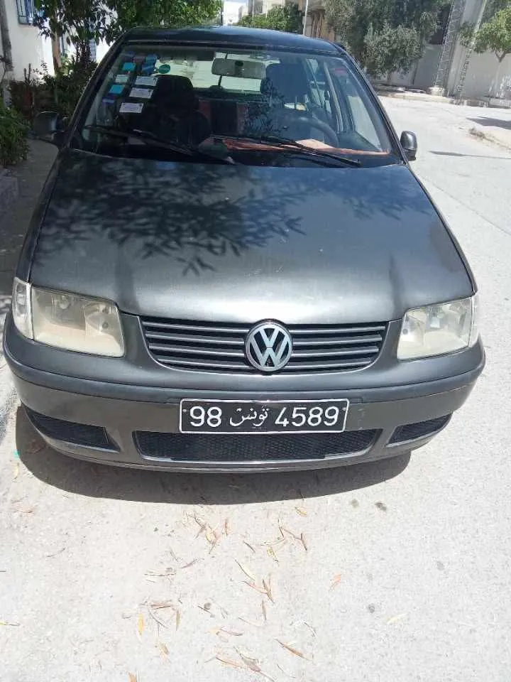 Polo4