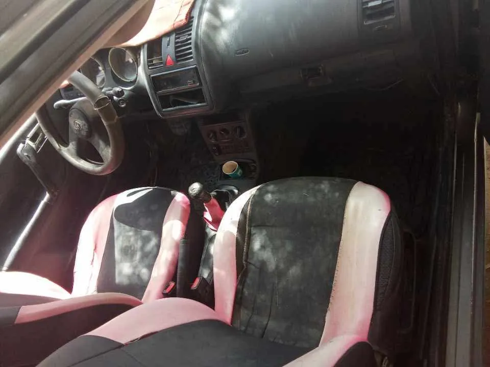 Polo4