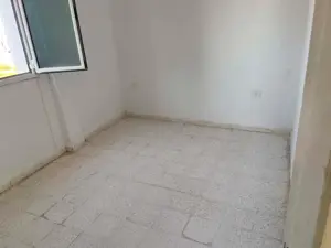 borej cedria s+2