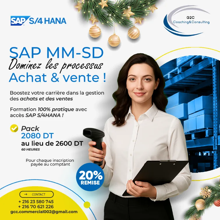Formation SAP MM SD & FICO