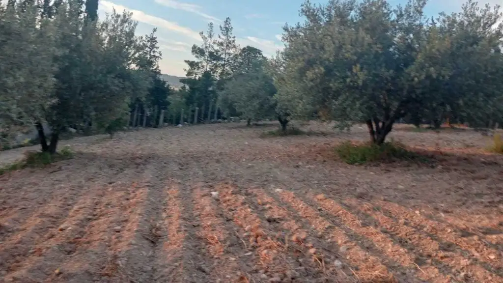 أرض للبيع 🏕