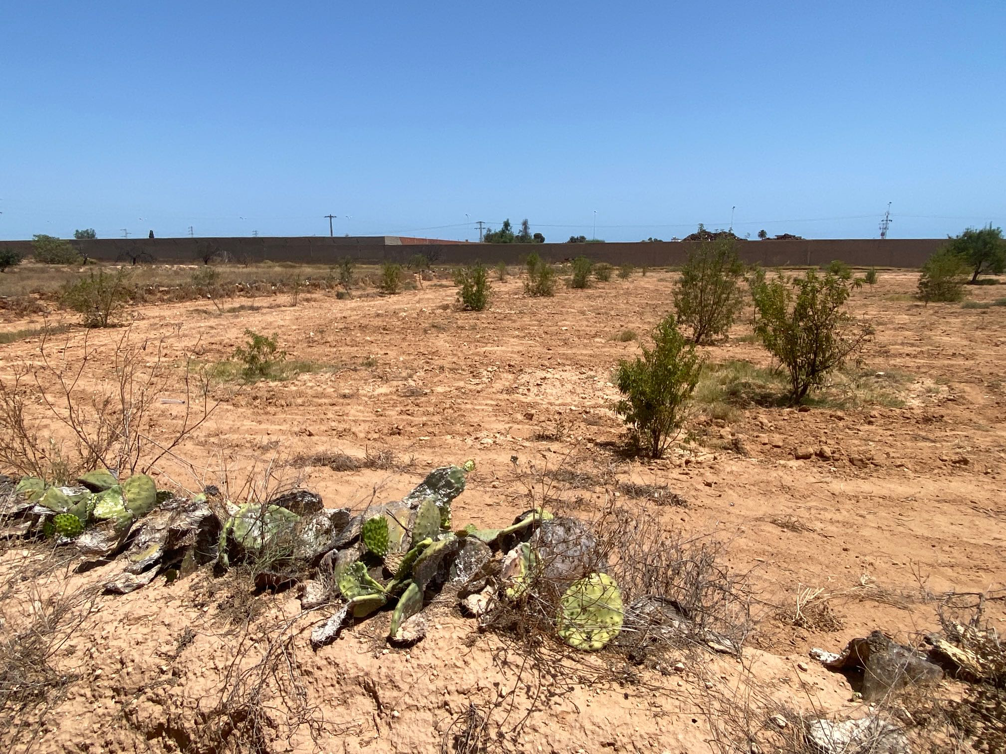 Terrain a vendre 