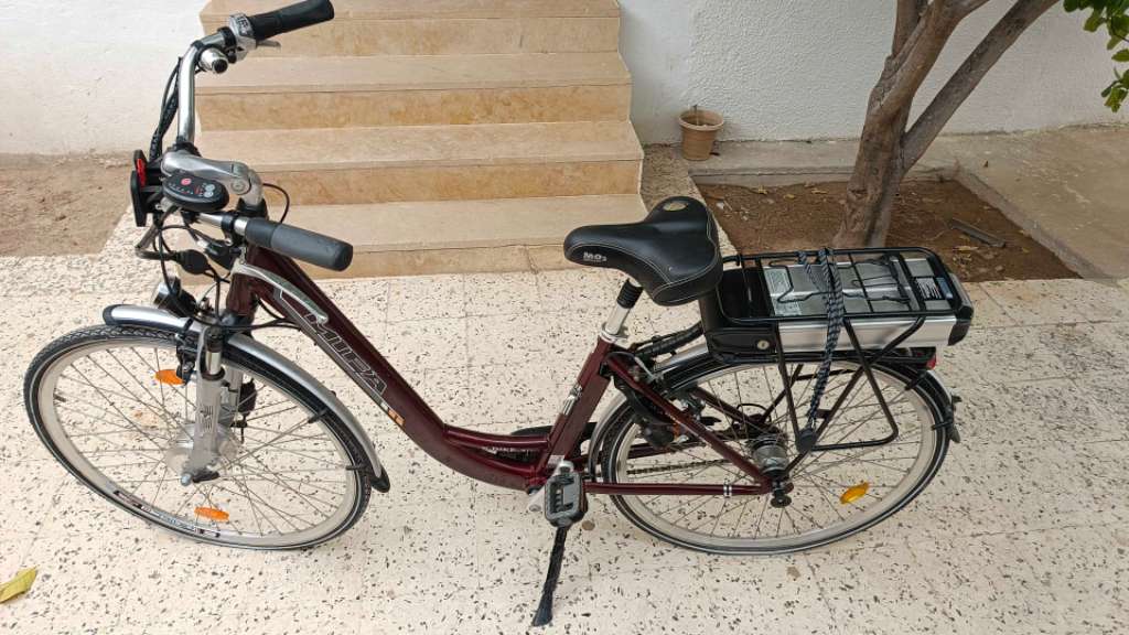 E Bike (Bicyclette Électrique)