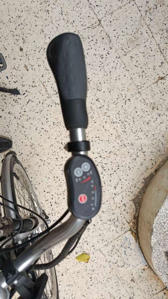 E Bike (Bicyclette Électrique)