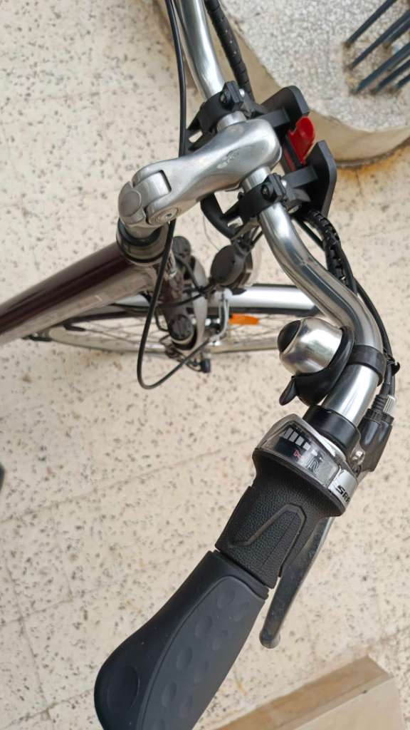 E Bike (Bicyclette Électrique)