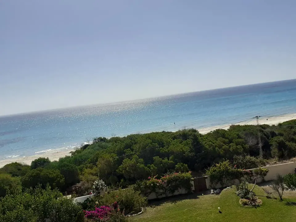 Investir au cap bon un terrain de 1 Ha
