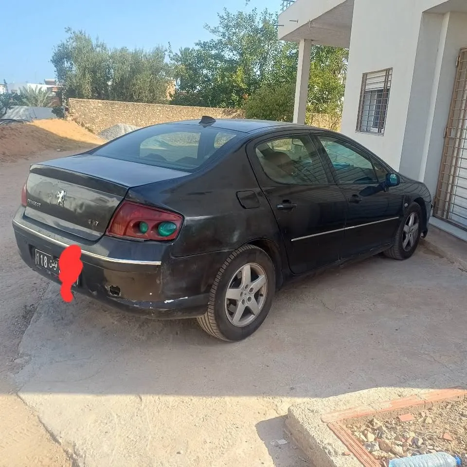 Peugeot 407
