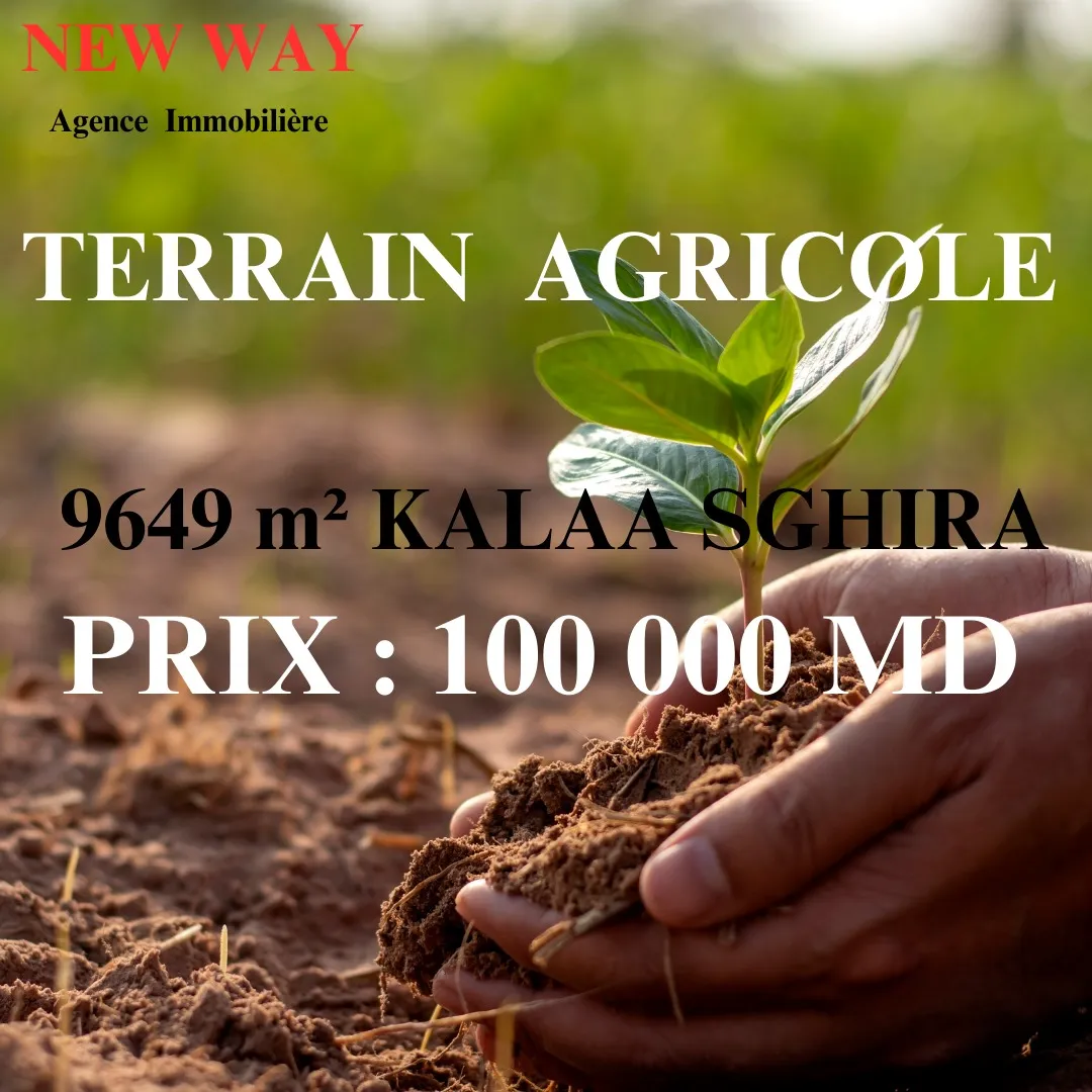 Terrain Agricole 9649 m² à Kalàa Sghira, Deuxième Position de Rue Principale