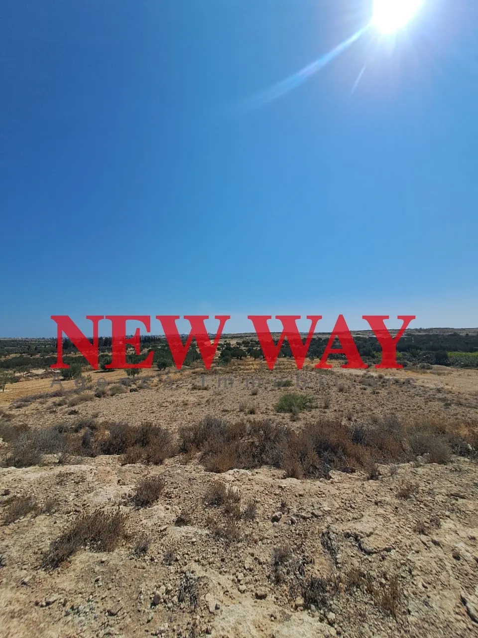 Terrain Agricole 9649 m² à Kalàa Sghira, Deuxième Position de Rue Principale