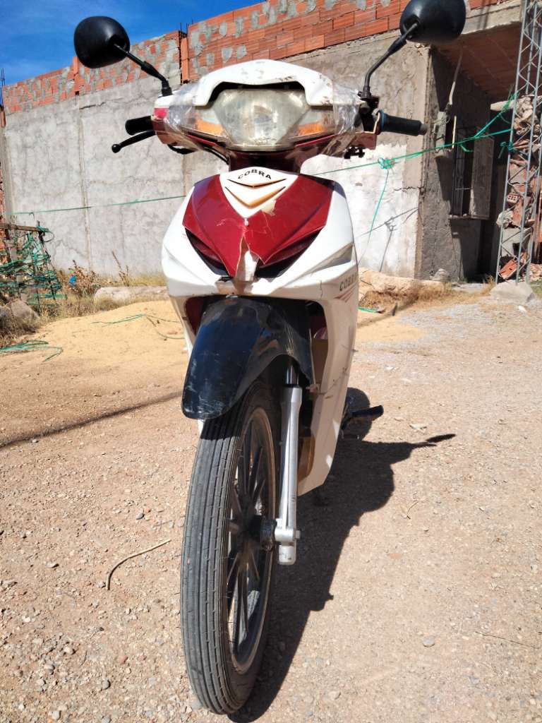 ftm cobra 110cc 51954954