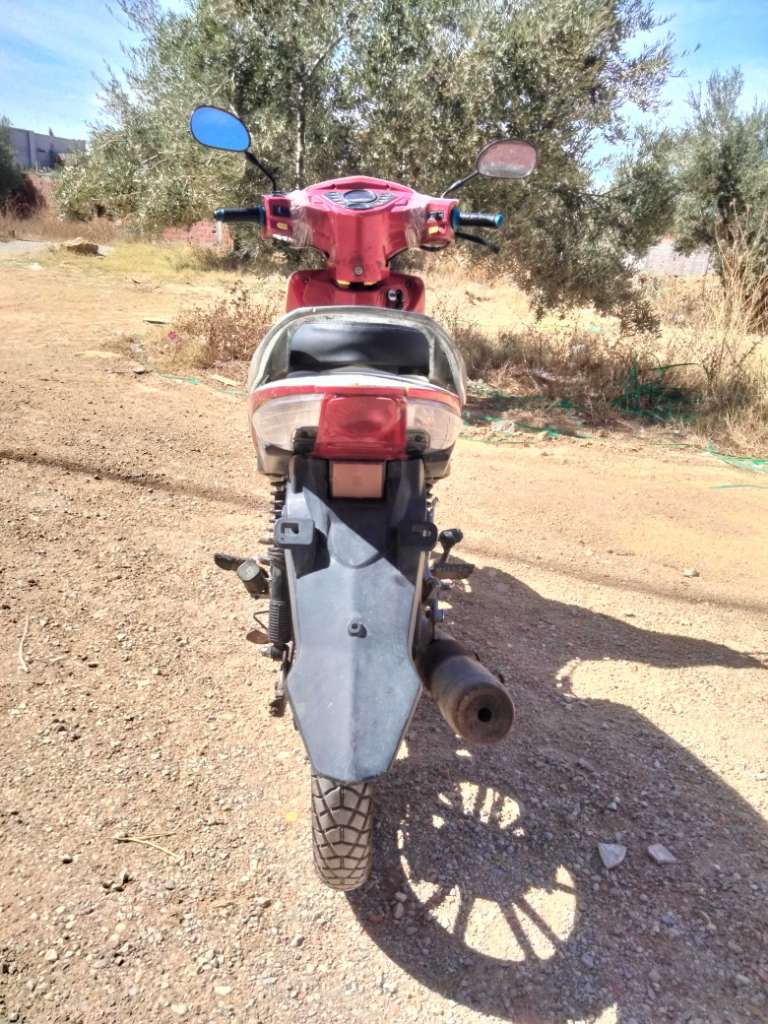 ftm cobra 110cc 51954954