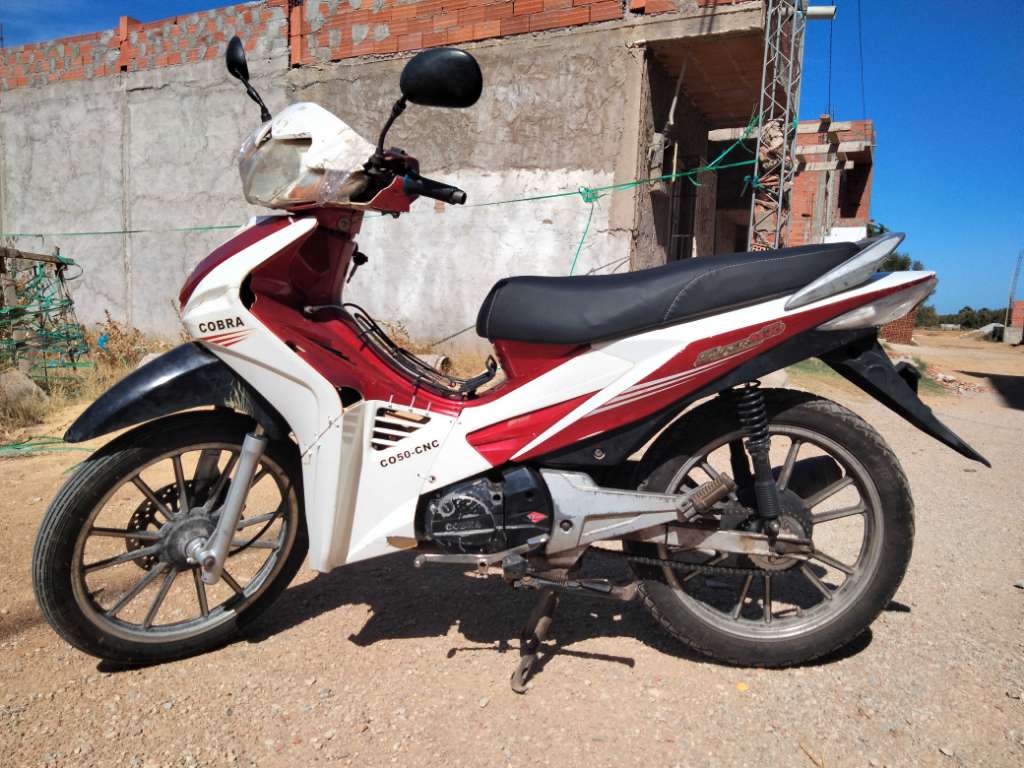 ftm cobra 110cc 51954954