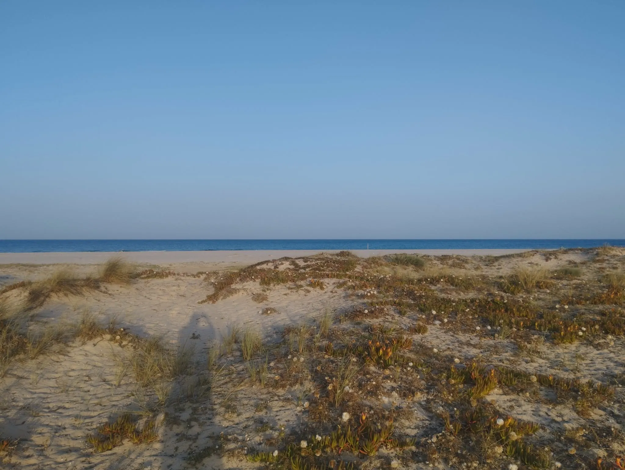 Terrain à Vendre -Plage Tazarka- 