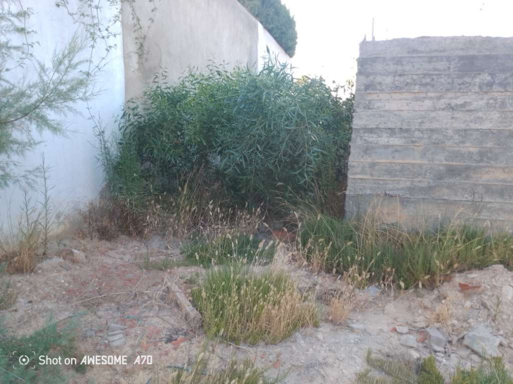 أرض صالحة للبناء للبيع في رواد