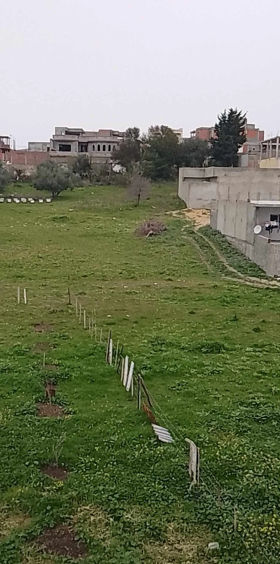 أرض مقسمة و مسجلة للبيع