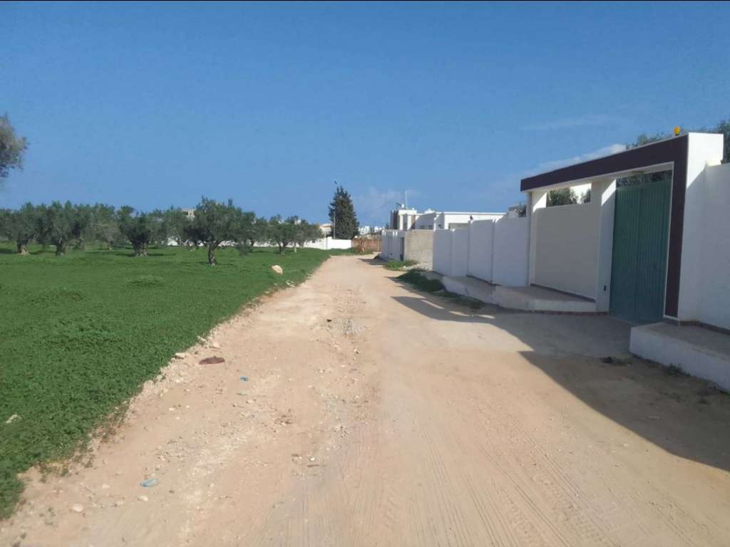 Terrain a vendre a tantana chatt meriem