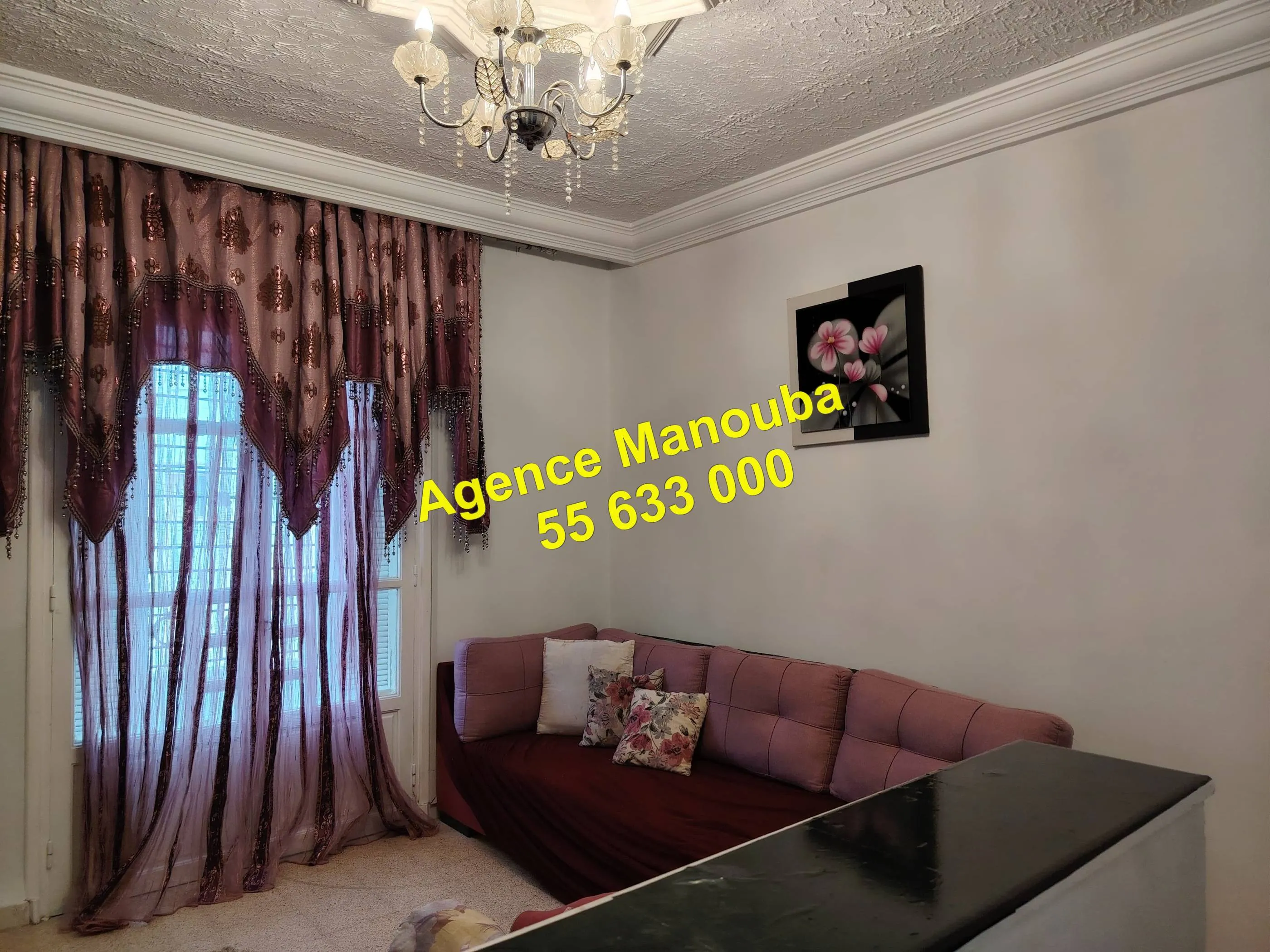 appartement meublée