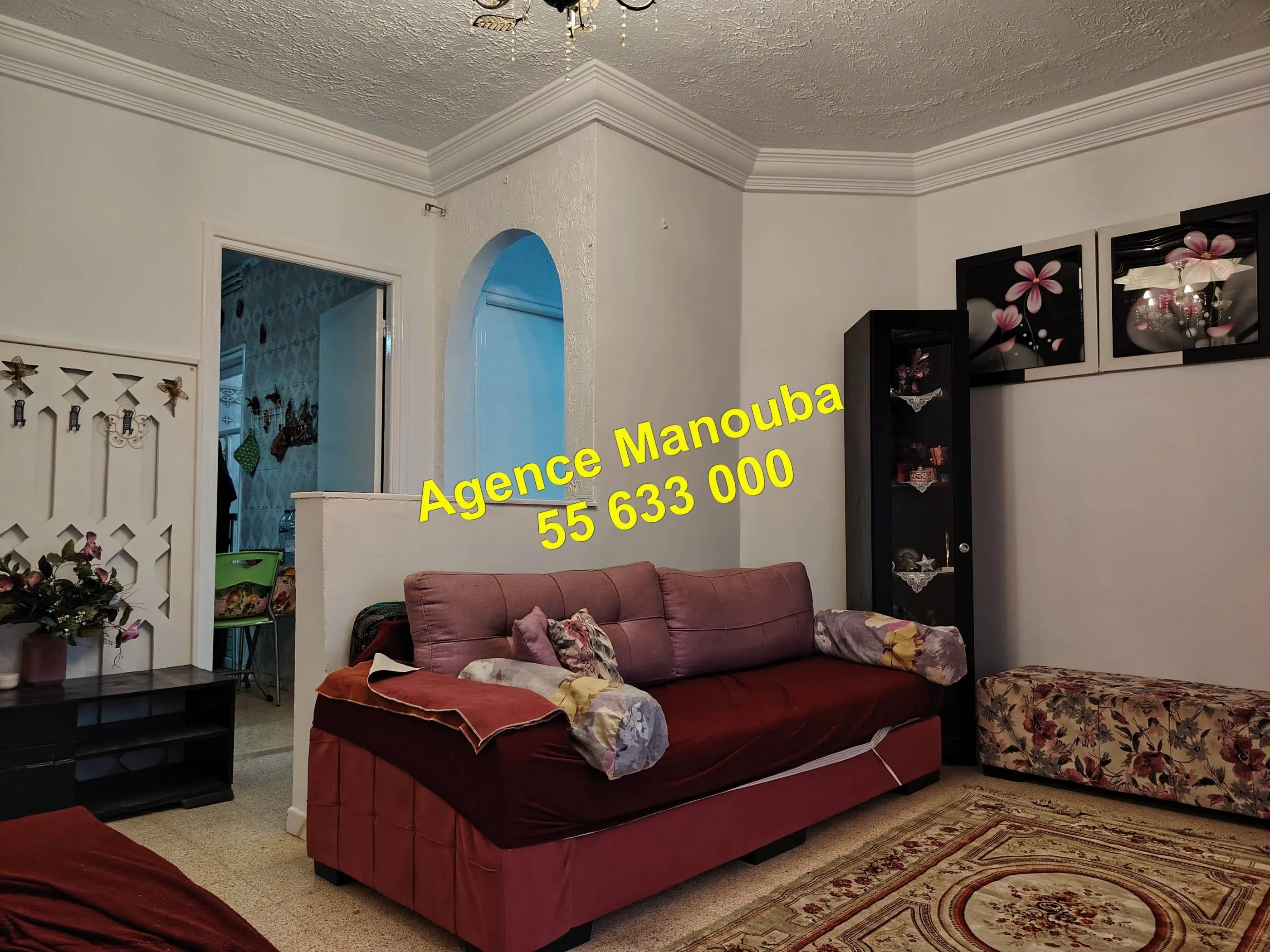 appartement meublée