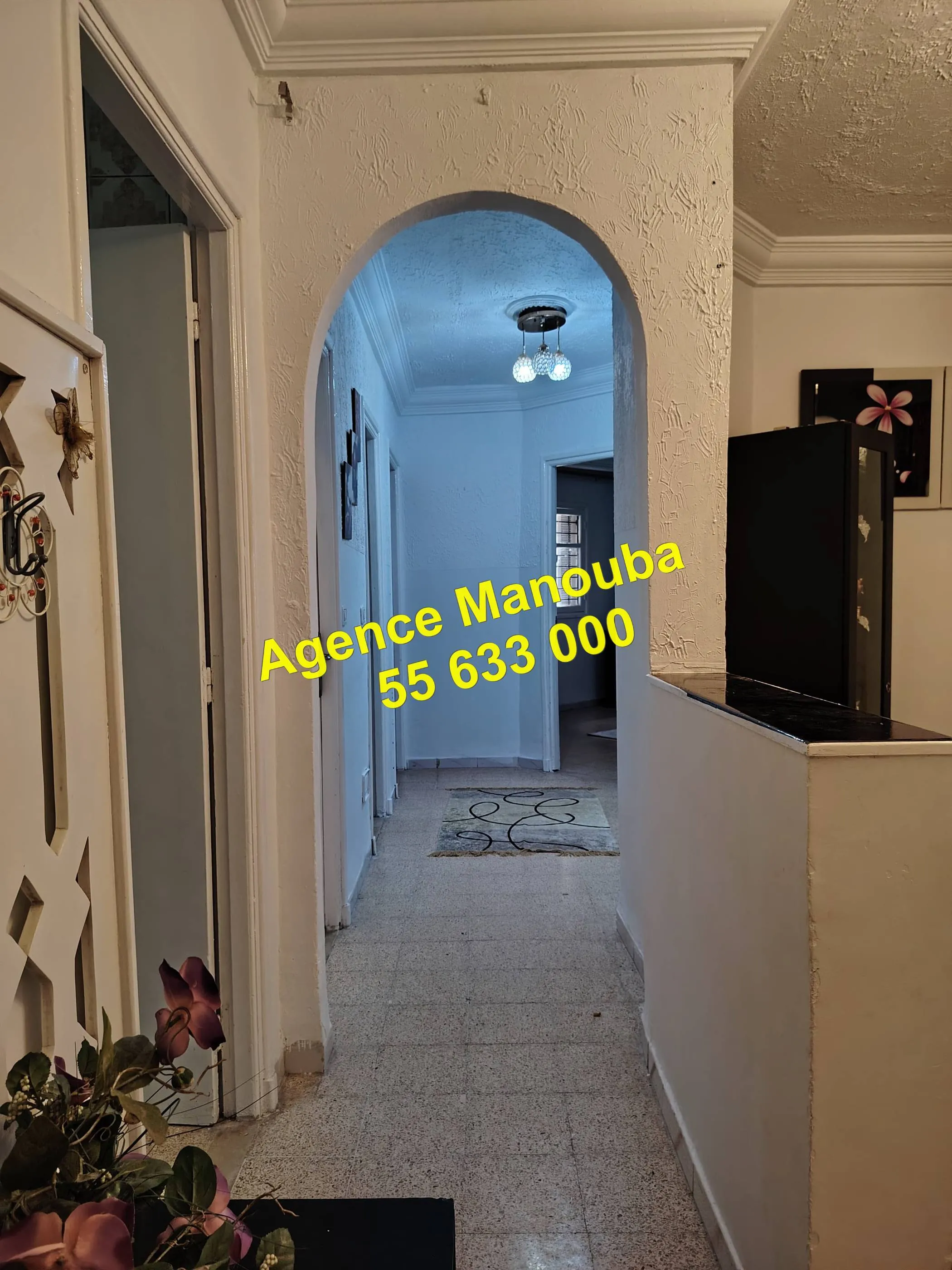appartement meublée