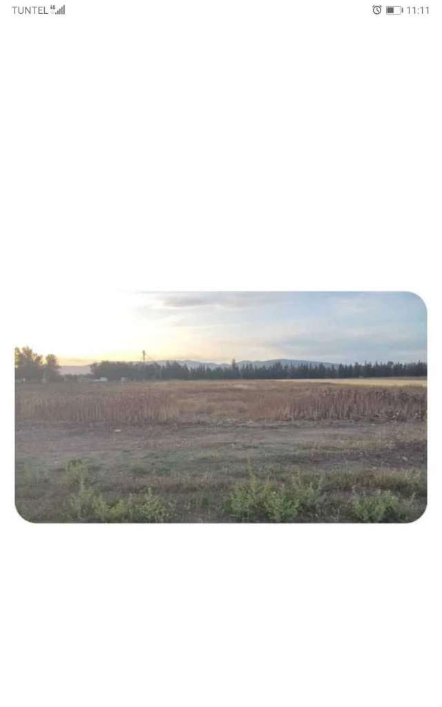 Terrain agricole a vendre