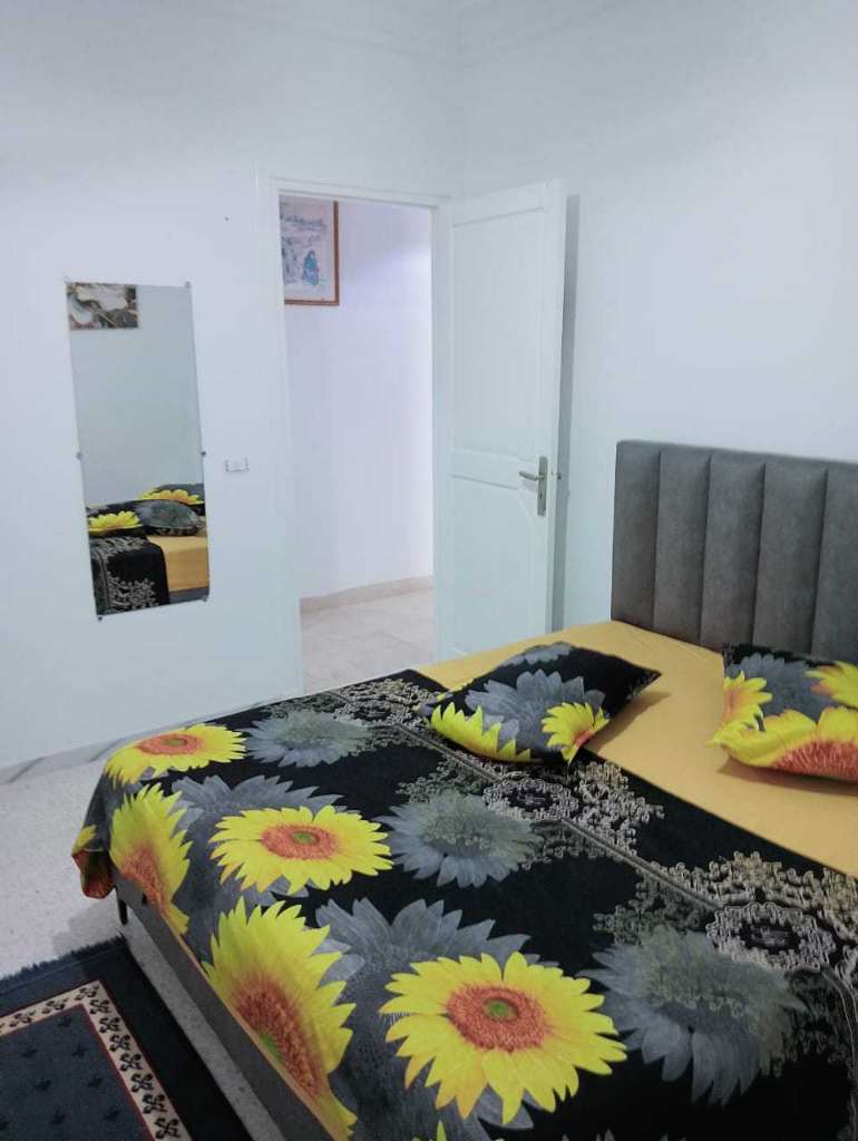 شقق مفروشة للايجار باليوم اسبوع في تونس العاصمة أو العوينة 