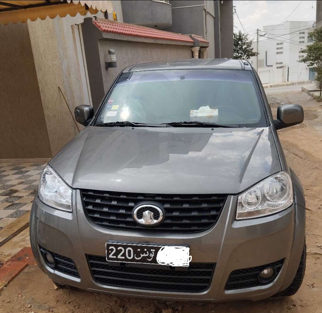 Great wall wingle 