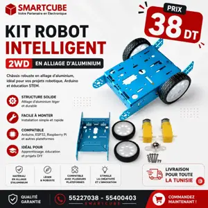 Kit Robot Intelligent 2WD en Alliage d'Aluminium