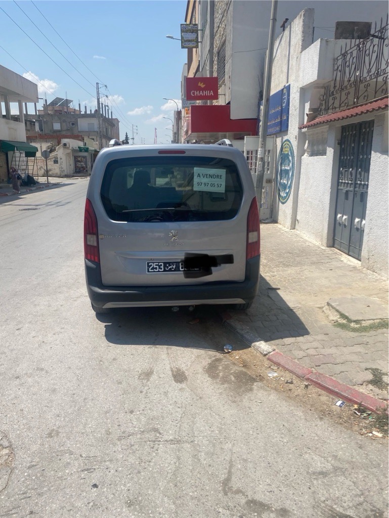 Peugeot RIFTER