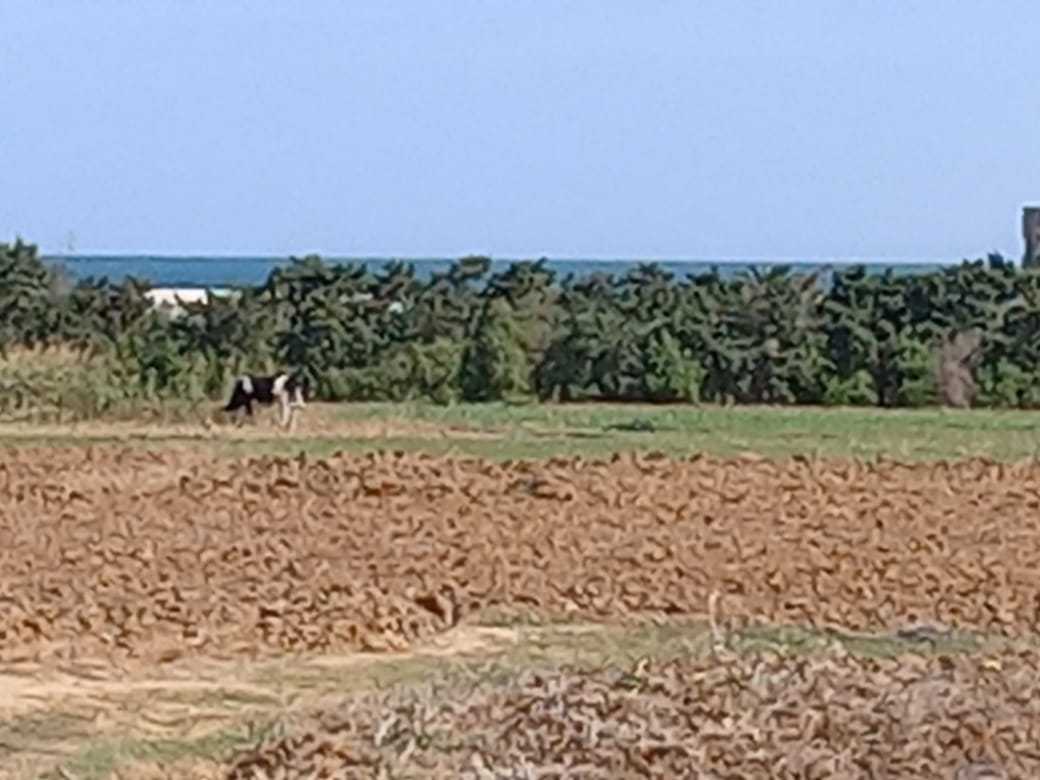 فرصة استثمارية جديدة 