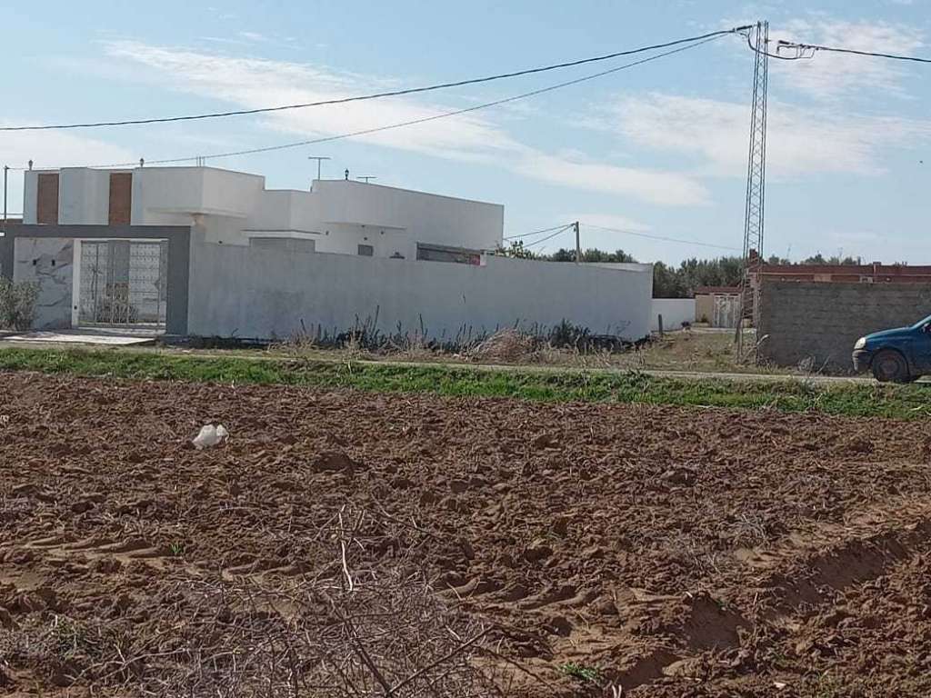 فرصة استثمارية جديدة 