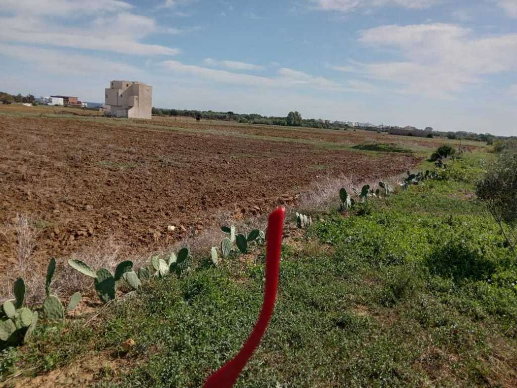 فرصة استثمارية جديدة 