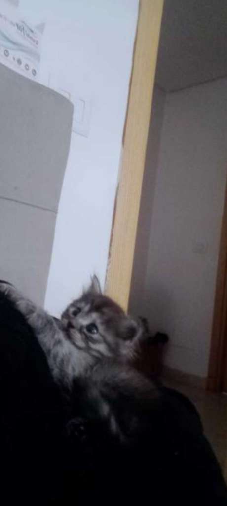 A vendre . 