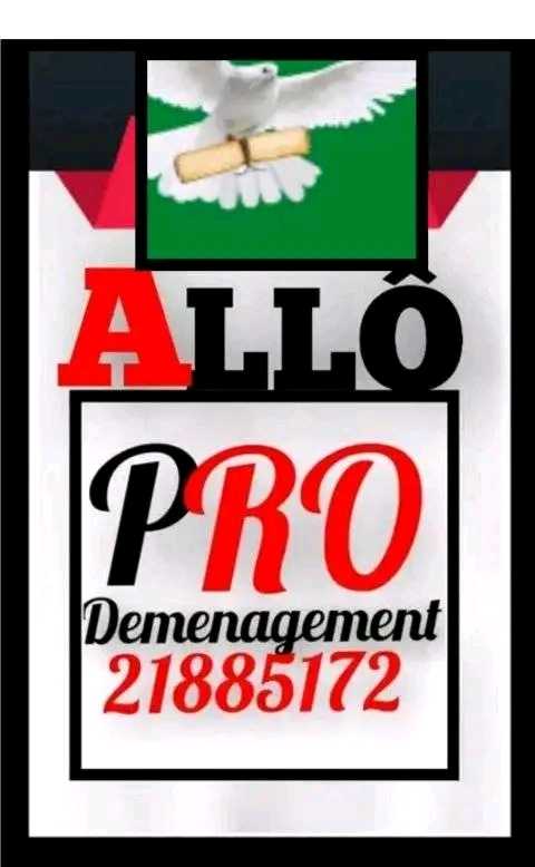 Déménagement 21885172 